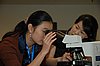 DSC_6722.JPG