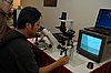 DSC_6742.JPG